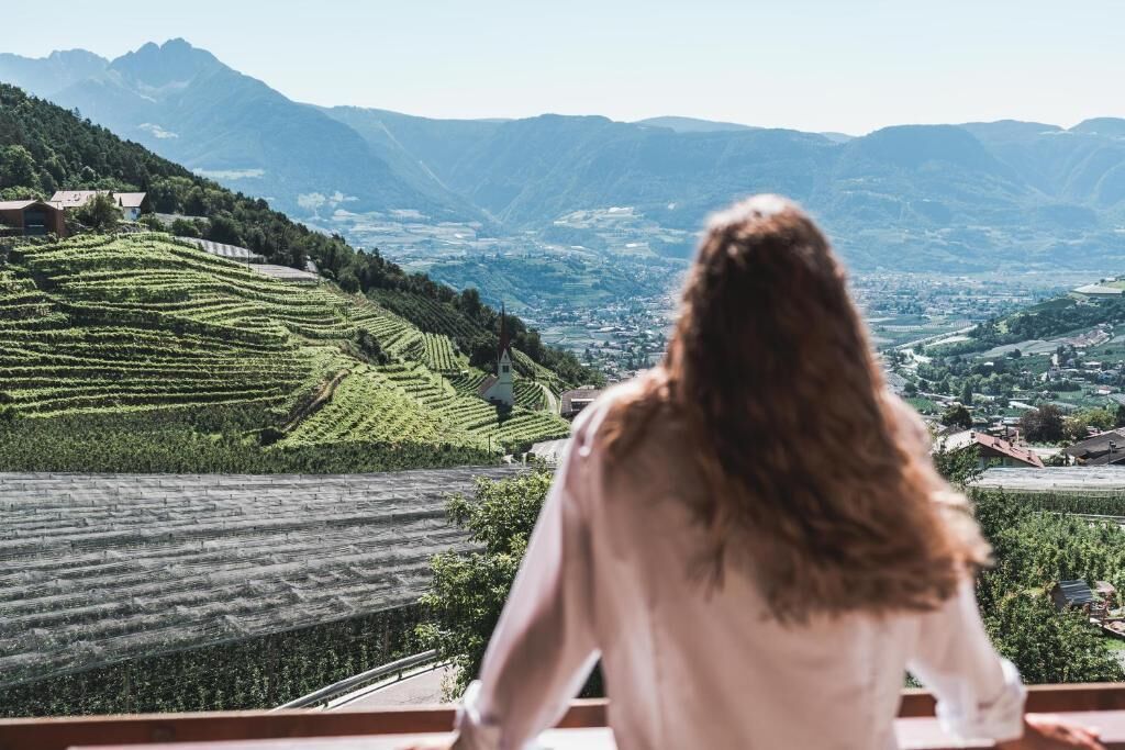 Una persona observa un viñedo con campos escalonados y montañas a lo lejos.
