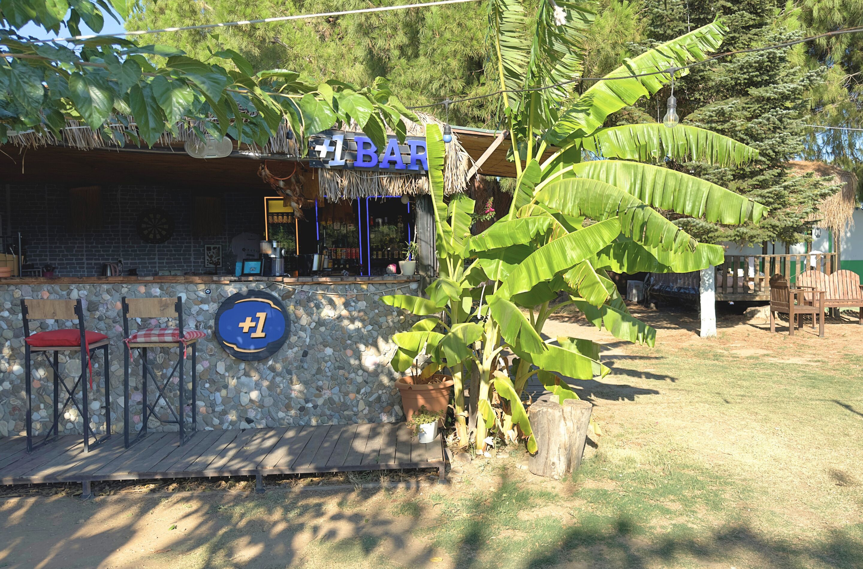 A rustic outdoor bar with a stone wall, wooden chairs, and a large potted plant.
