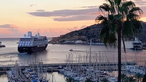 Un navire de croisière était amarré dans une marina, où se trouvaient plusieurs bateaux, et un palmier se dressait au premier plan.