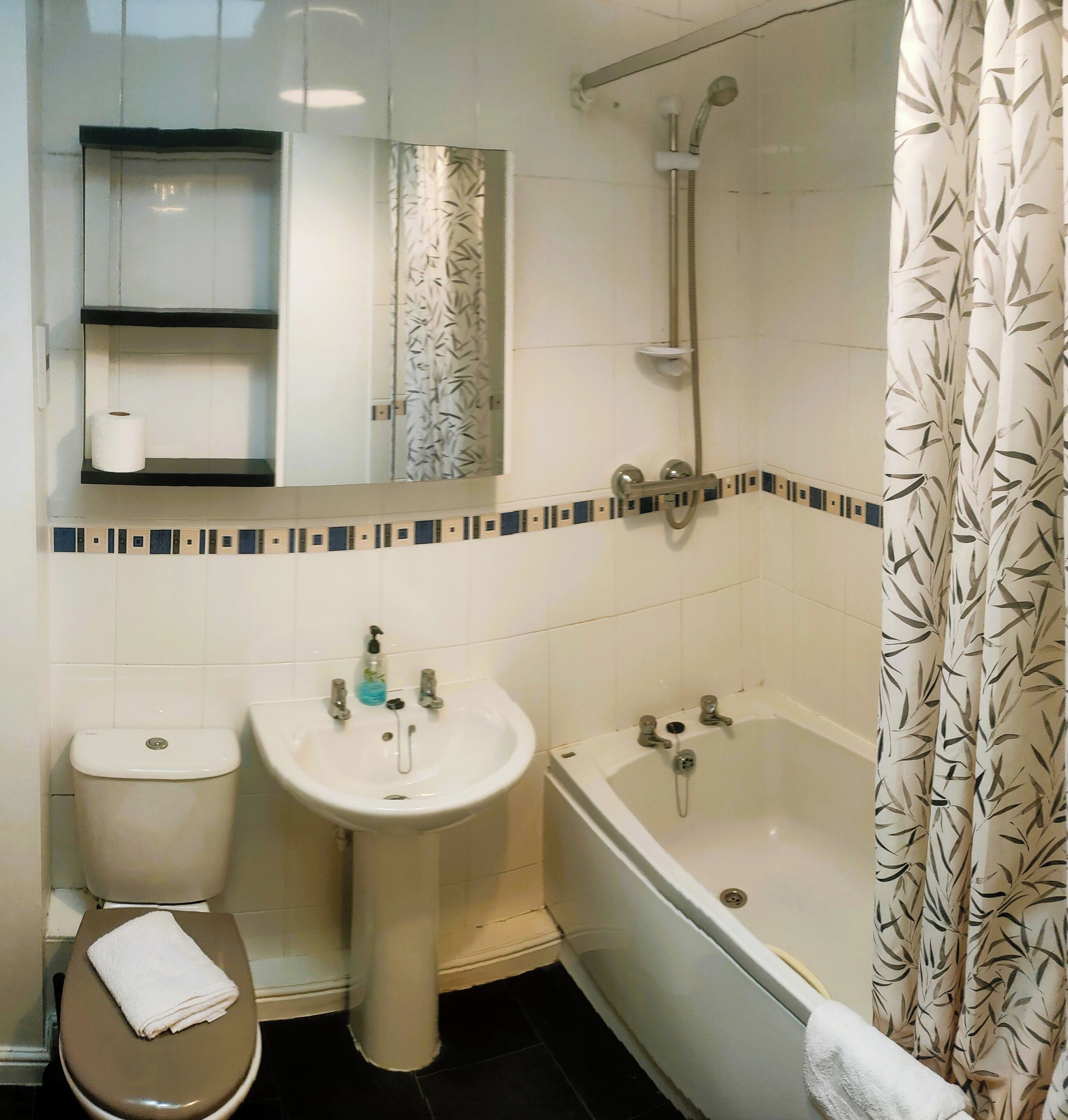 Appartement Affaires, non-fumeur, cuisinette | Salle de bain | Ensemble baignoire-douche, serviettes fournies