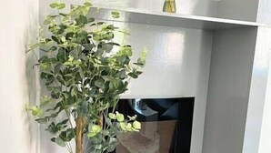 奢華公寓 | 起居區