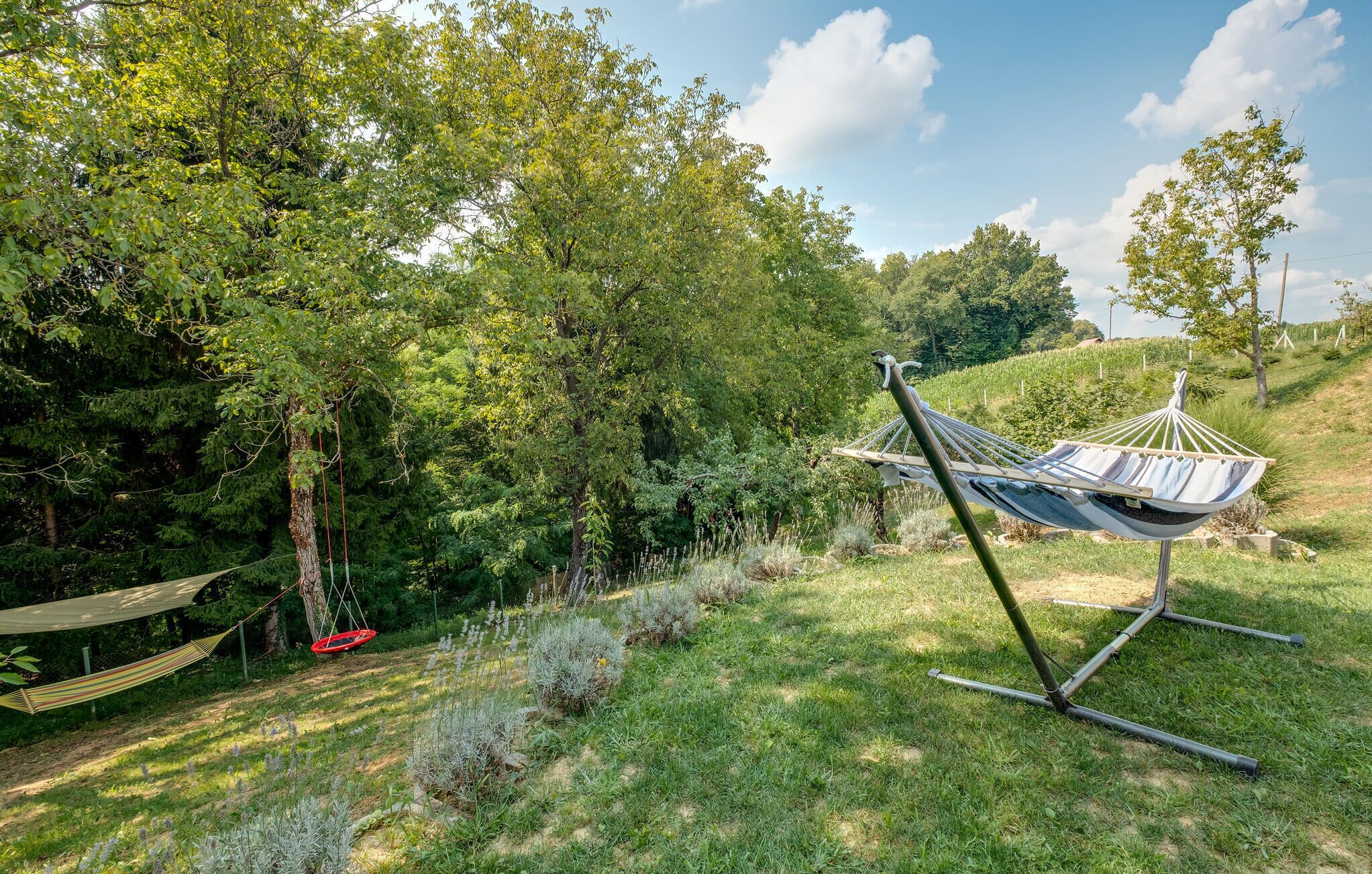 Un hamac dans un espace extérieur verdoyant, avec des arbres en arrière-plan.