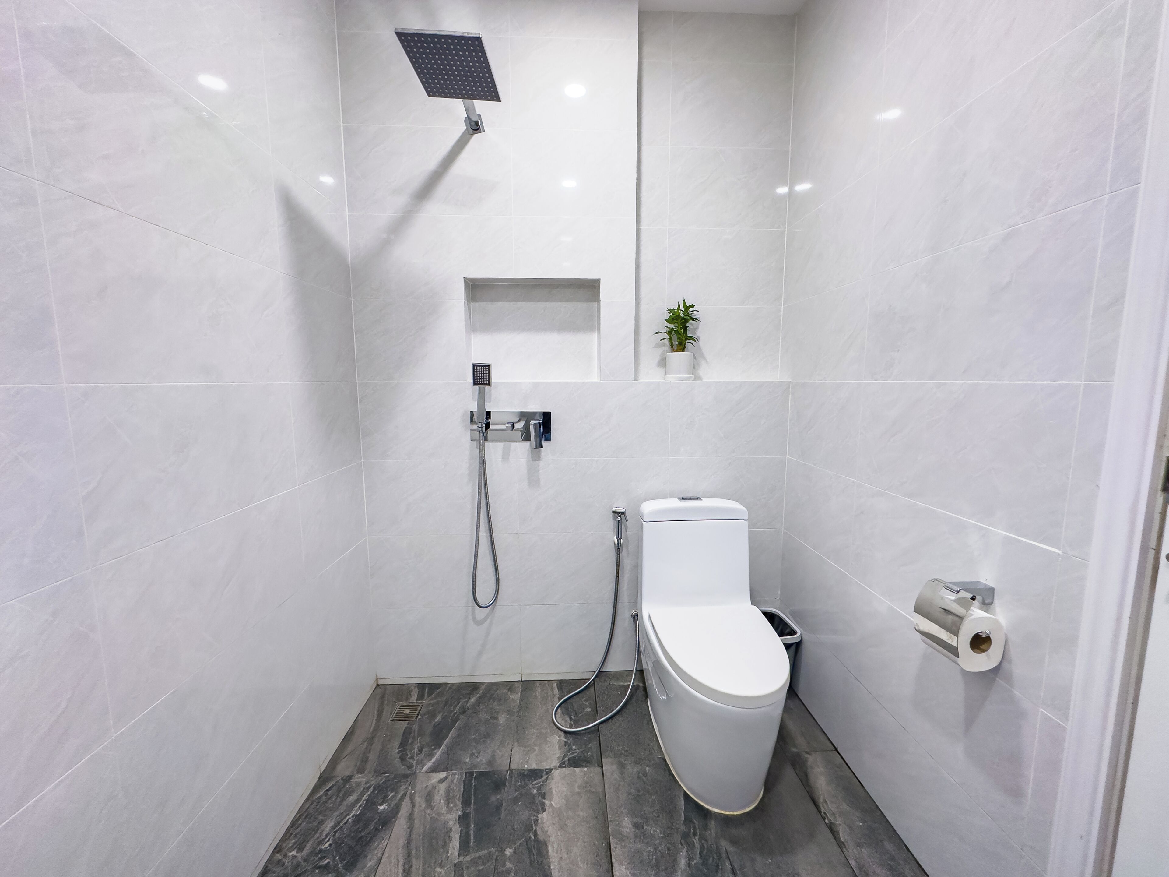 Un baño moderno con ducha, inodoro y un pequeño estante con una planta.