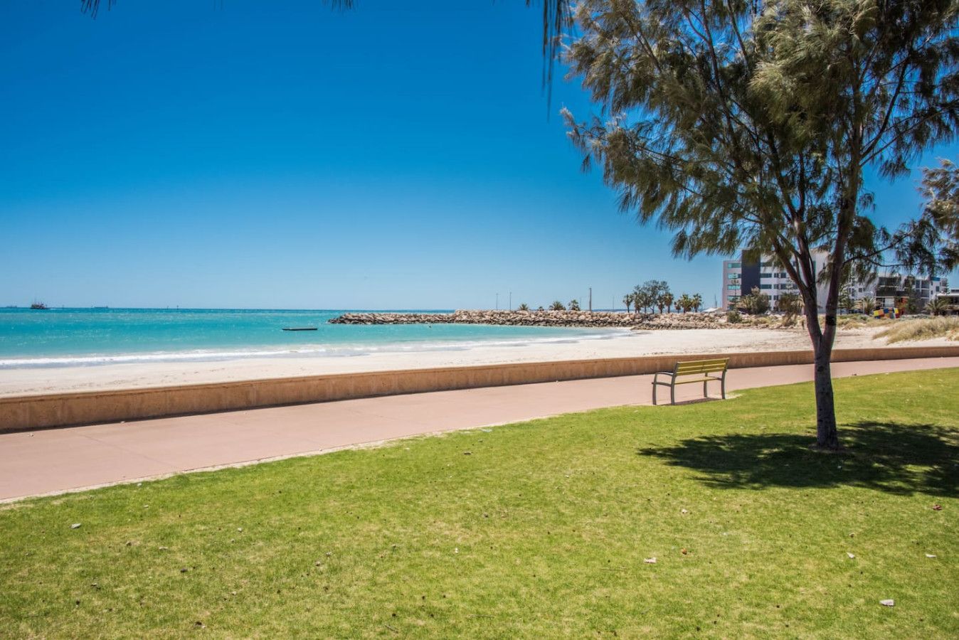 A beach with a paved walkway, a bench, and a tree.
