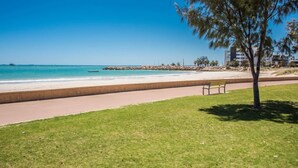 A beach with a paved walkway, a bench, and a tree.
