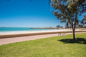 A beach with a paved walkway, a bench, and a tree.