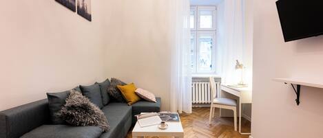 Apartment | Living room | 48-inch Smart TV with digital channels