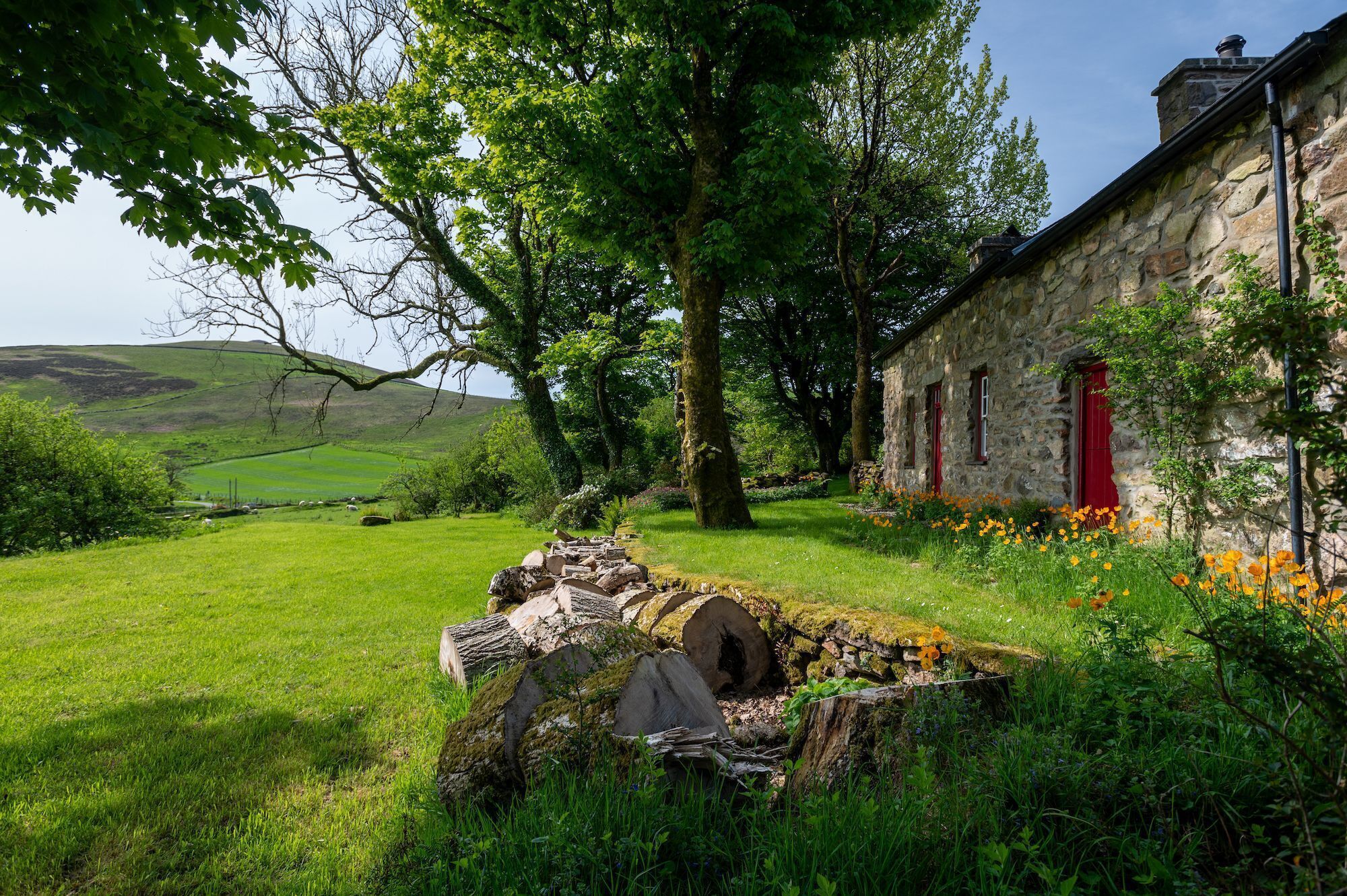 Overnattingsstedets uteområder