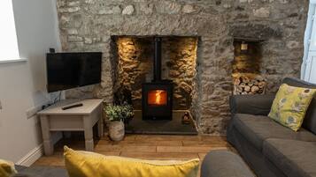 Télévision, cheminée