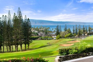 Golf - Spacious 4BR Kapalua Villa Best Views in Golf Villas (Lahaina)