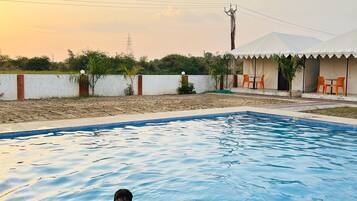 Relax by the rectangular pool surrounded by a palm tree and comfortable seating.