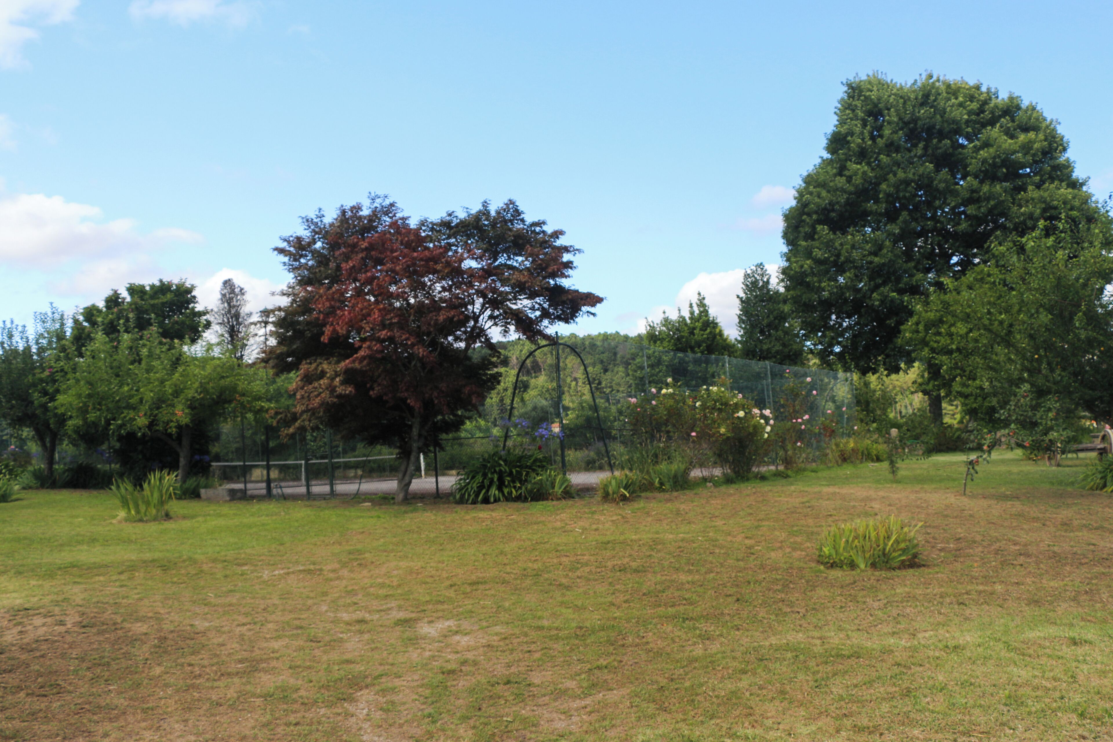 An outdoor area with a grassy field, trees, and a fence.