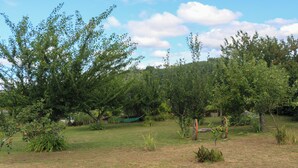 A grassy area with trees and a hammock. - Casa Campo das Bizarras (Castro Daire)