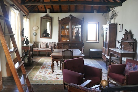 Standard House | Living area | Fireplace, toys. Casa Campo das Bizarras