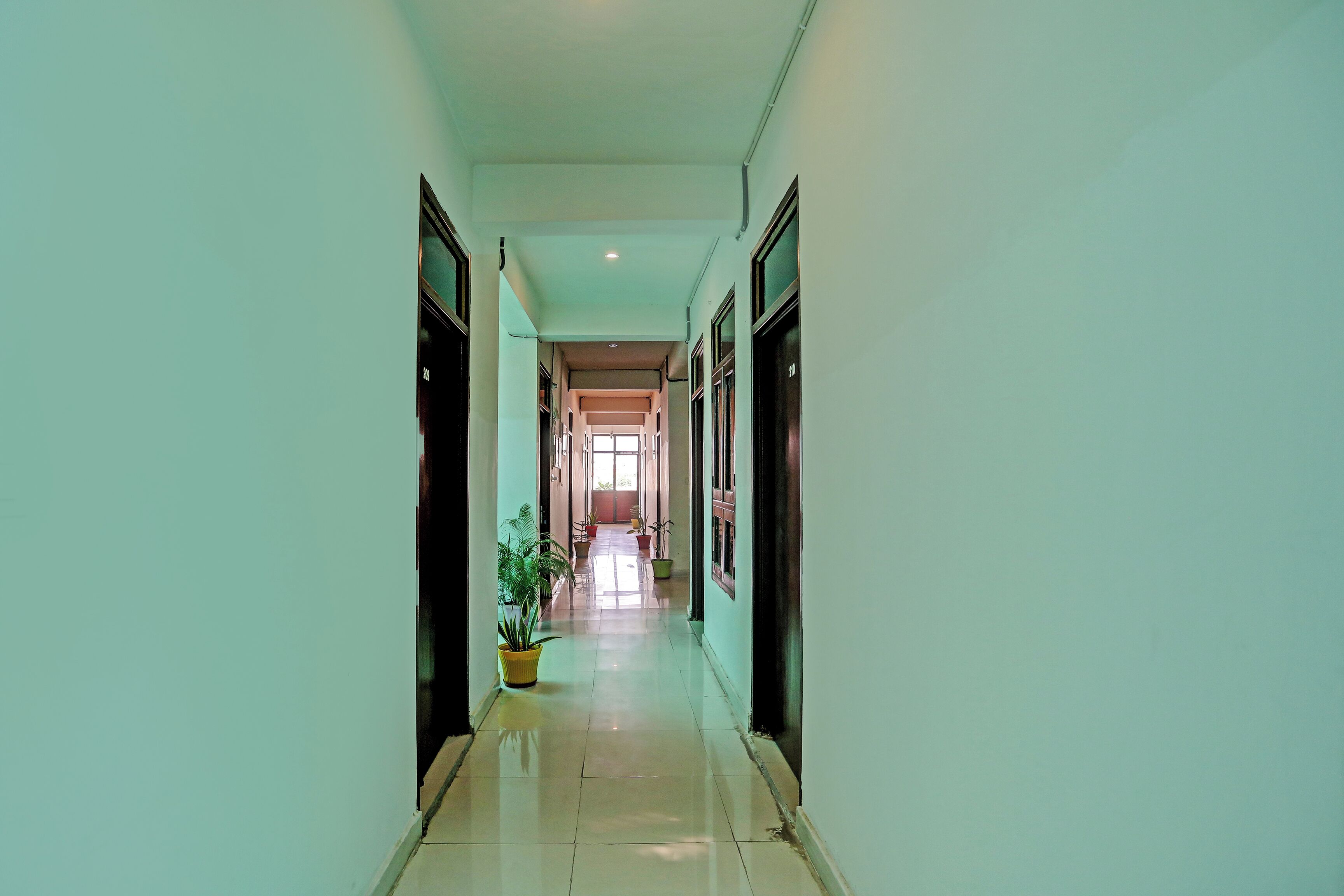 Photo - Shree Hotel