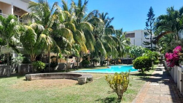 Una piscina circondata da palme e un vialetto in mattoni.
