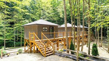 Apartment (0 Bedroom) | Interior