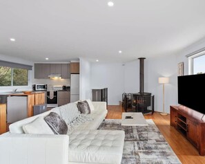 TV, fireplace, DVD player, books