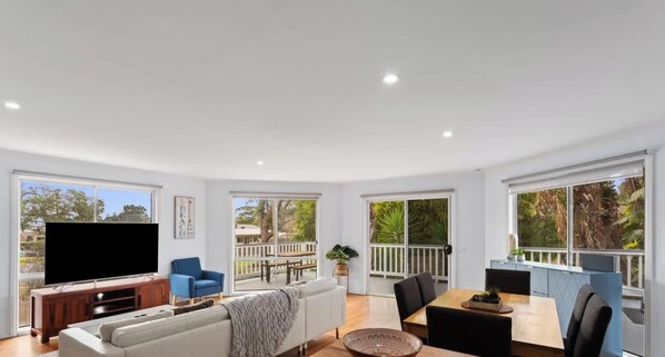 TV, fireplace, DVD player, books