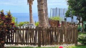 Un terrazzo in legno con vista su un paesaggio tropicale, che include palme e una recinzione.