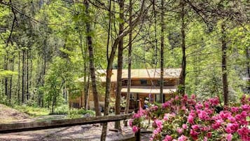 Cabin, 3 Bedrooms | Property grounds