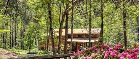Cabin, 3 Bedrooms | Kawasan hartanah