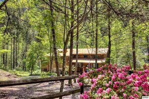 Cabin, 3 Bedrooms | Property grounds