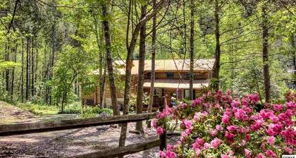 Dunn's Creek Hideaway 3 Bedroom Cabin by RedAwning