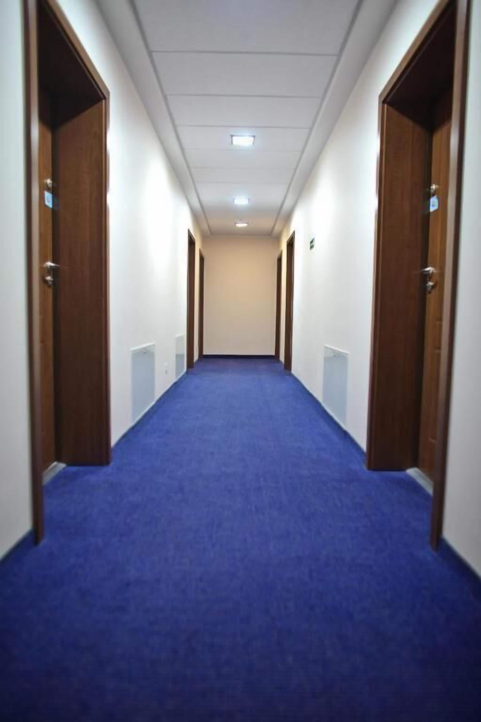 A hallway with blue carpet, wooden doors, and white walls.