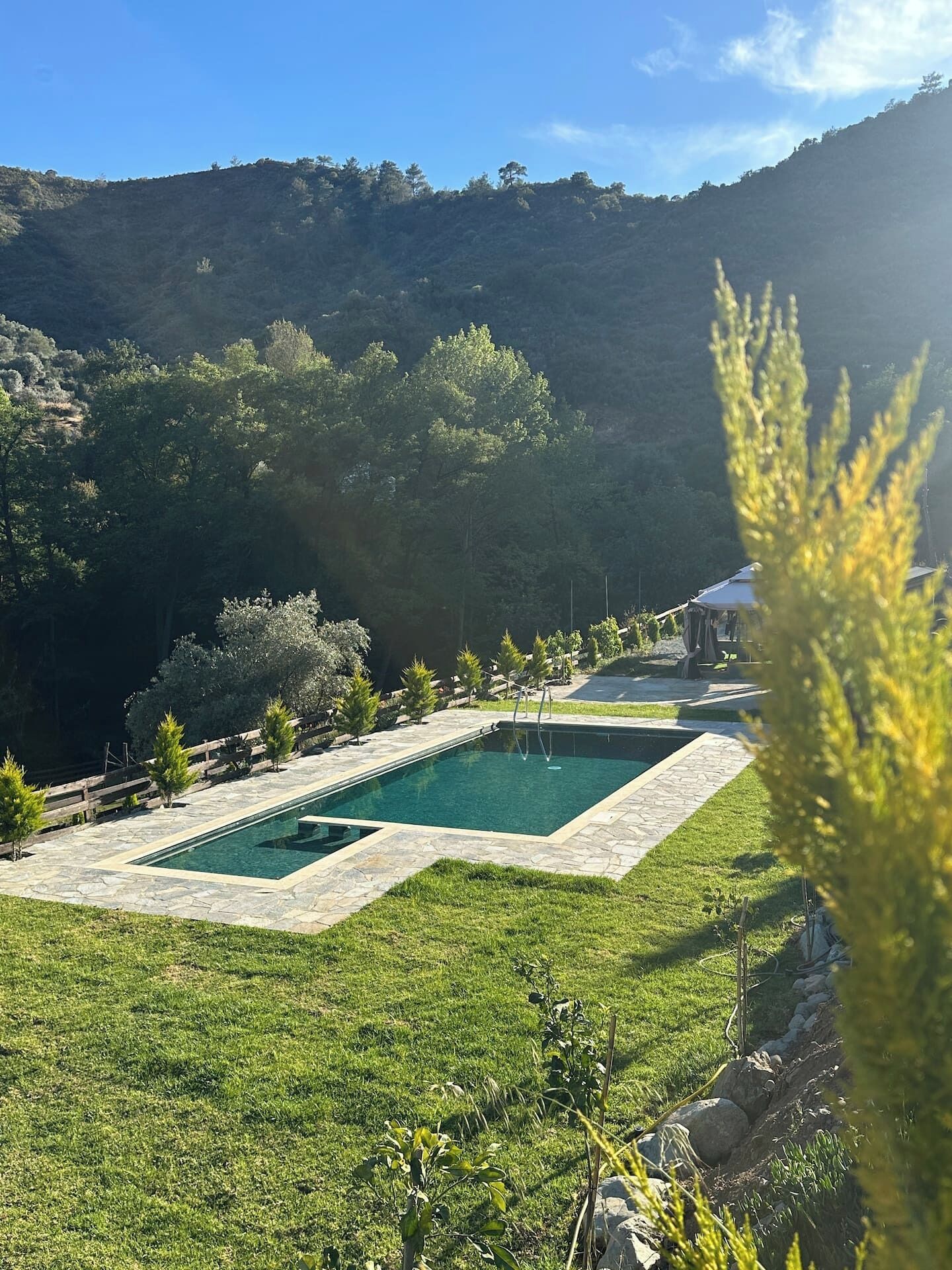 Una piscina rettangolare con bordo in pietra, circondata da un'area verdeggiante e alberi da frutto.