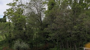 Uklassifisert bilde, 2 av 23, knapp
