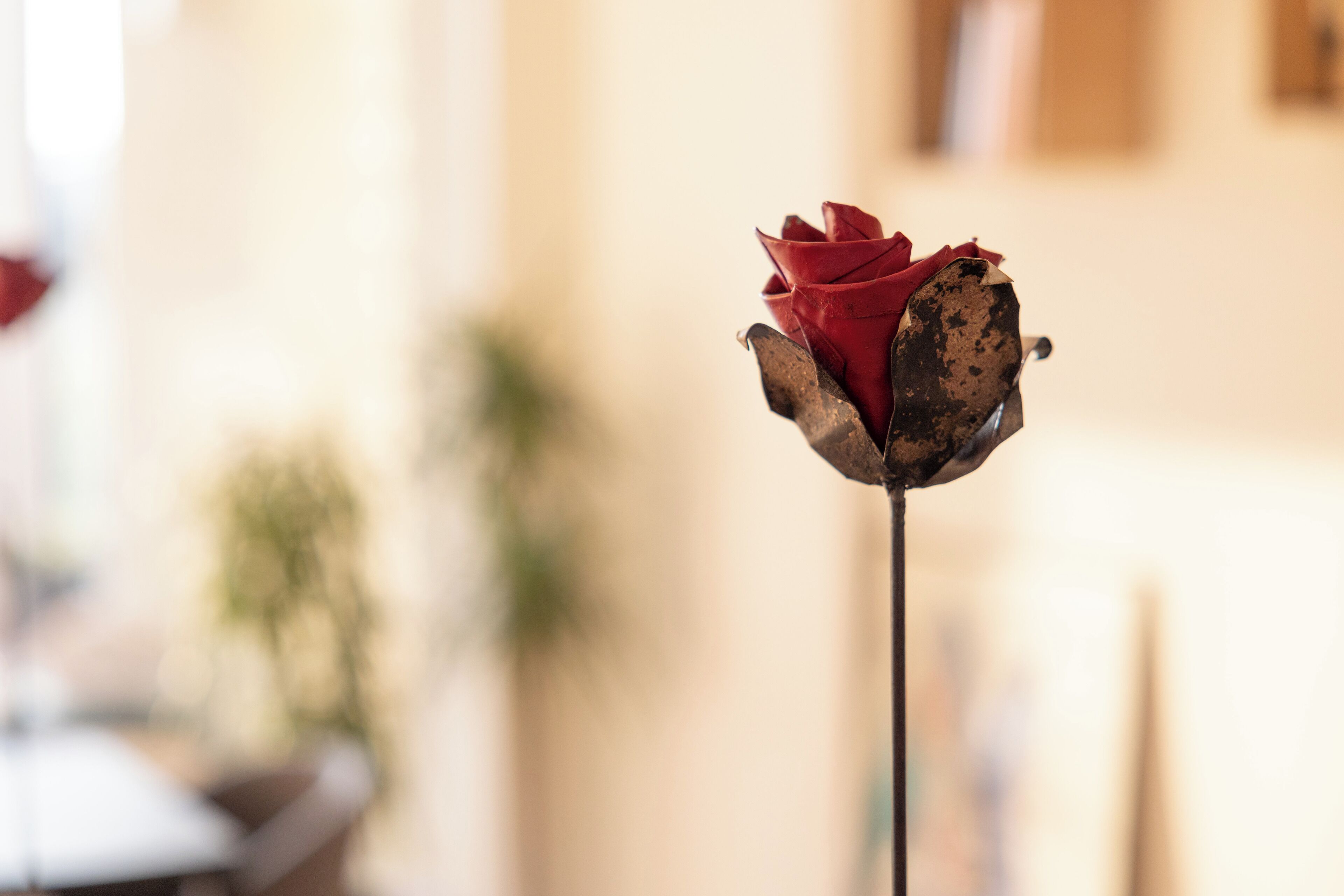 A single red rose with a dried, brown petal on a stem, set against a softly blurred indoor background.