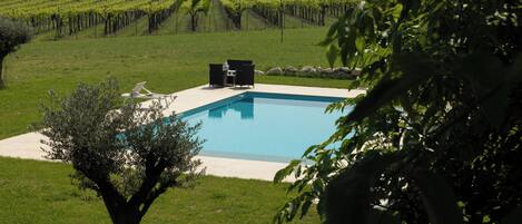 Ein Swimmingpool mit Terrassenbereich, umgeben von einem Weinberg und einem Baum.