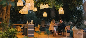 Kruger Untamed - Satara Plains Camp