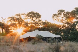 Exterior - Kruger Untamed - Satara Plains Camp (MP)