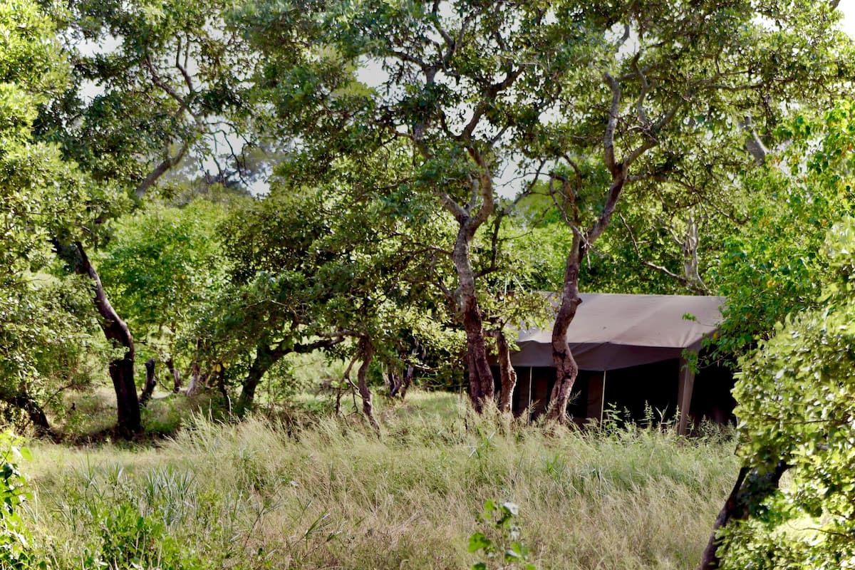 A tented structure surrounded by trees and grass.