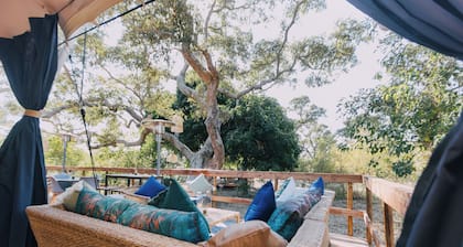 Kruger Untamed - Satara Plains Camp