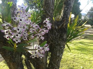 숙박 시설 구내