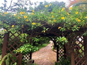 A wooden pergola with yellow flowers and a stone pathway leading through it. - Pousada Villa Real (Tiradentes)