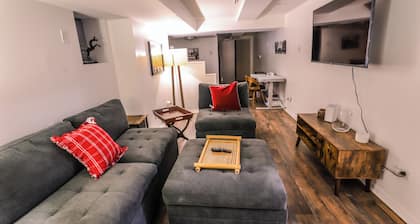 Cozy 1-bedroom apartment with WiFi, AC in gorgeous Chicago