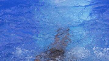 2 outdoor pools