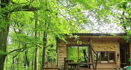 Woodland Hideawayhut, Wye valley Forest of Dean