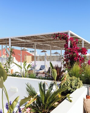 Exterior - Casa Amor Olhão (Olhao)
