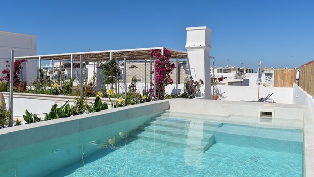 A rooftop pool with clear blue water, surrounded by plants and a pergola. - Casa Amor Olhão (Olhao)
