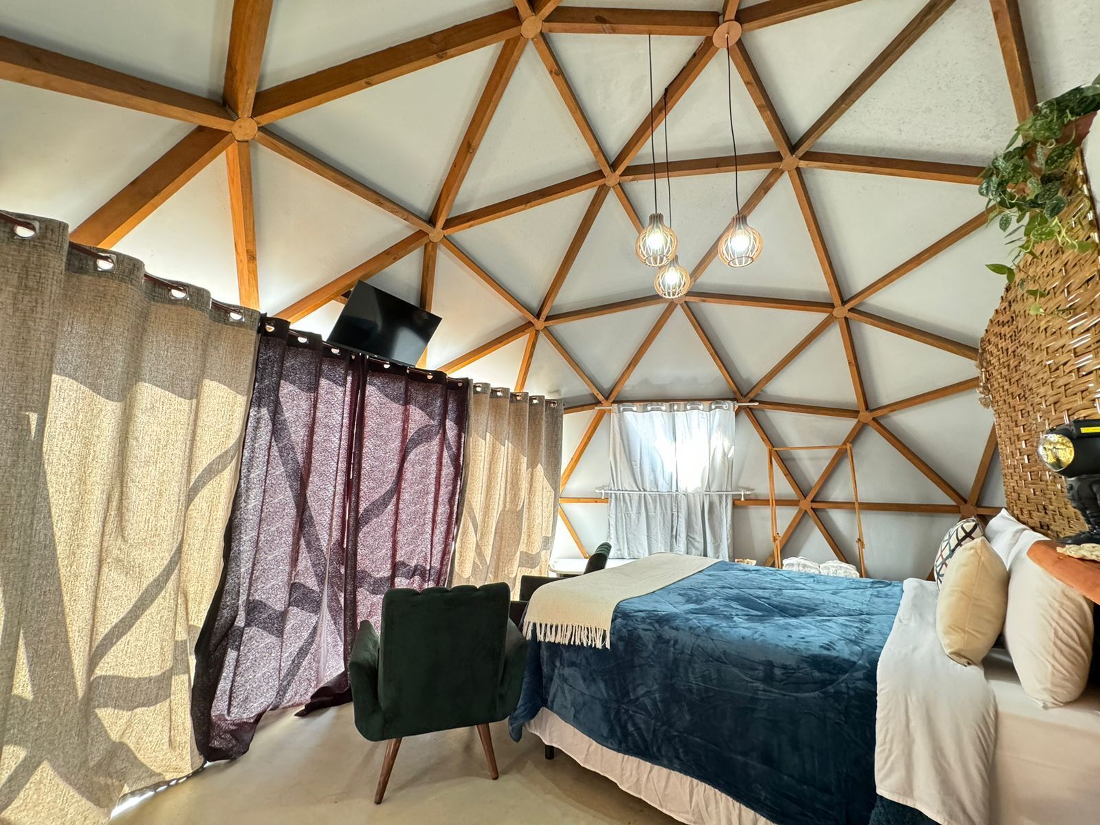 Une pièce dotée d’un plafond en bois aux motifs géométriques, d’un lit avec une couette bleue et blanche, d’un fauteuil vert et d’un panier en osier contenant une plante.