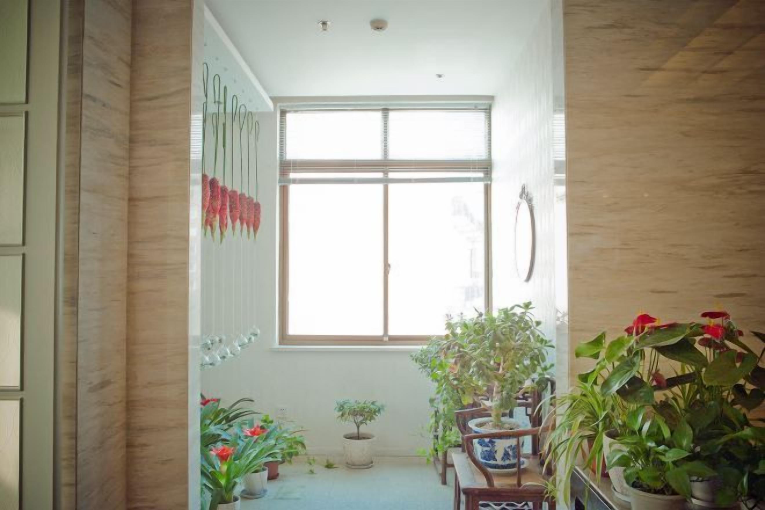 A narrow hallway with a large window, potted plants, and a wooden floor.