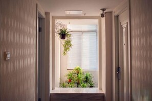 Un couloir avec une fenêtre, une porte et une plante suspendue au plafond.