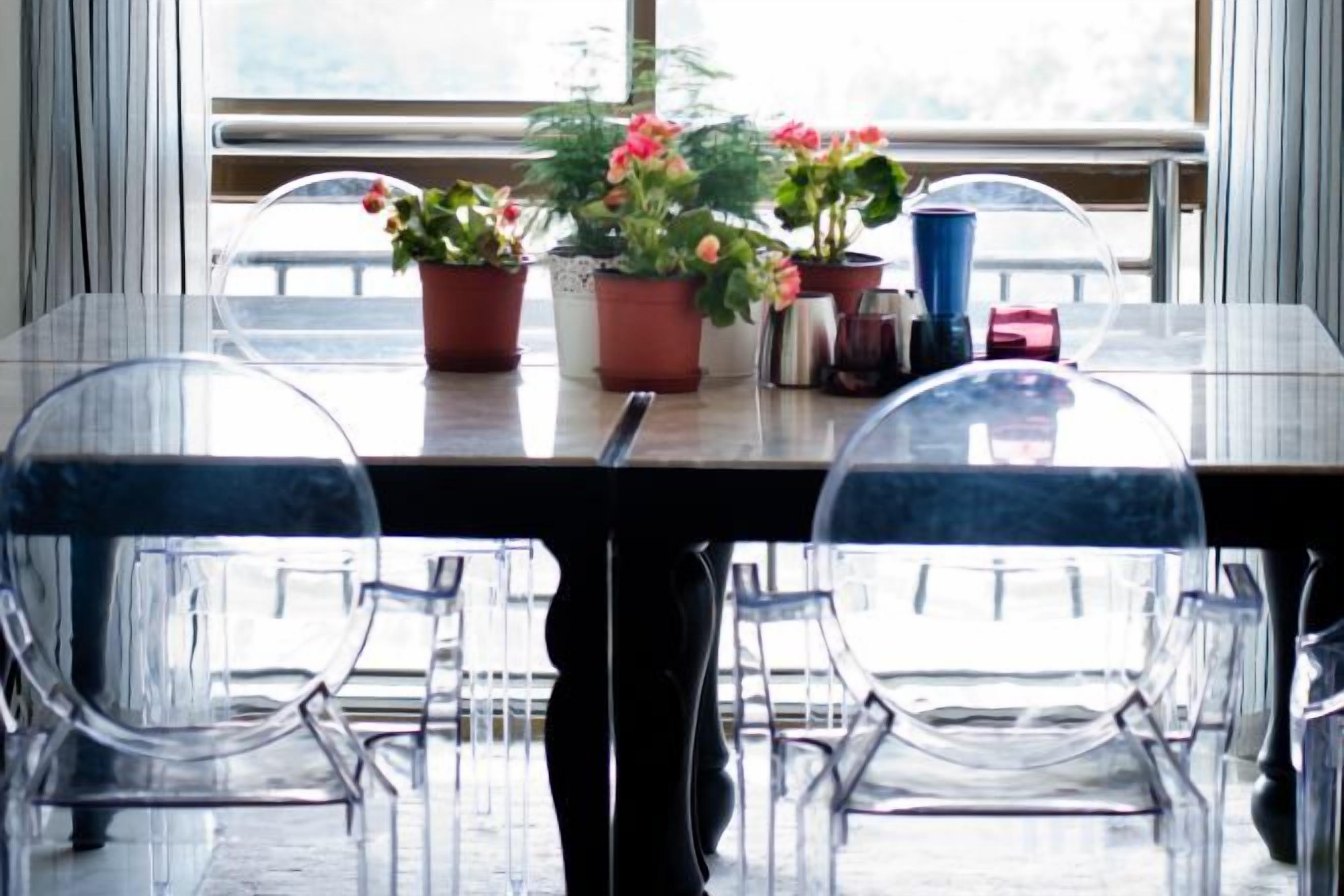 Una mesa con plantas en macetas y una taza azul.