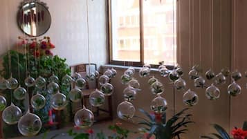 A room with hanging glass spheres containing plants, a mirror on the wall, and a window with a view of buildings.