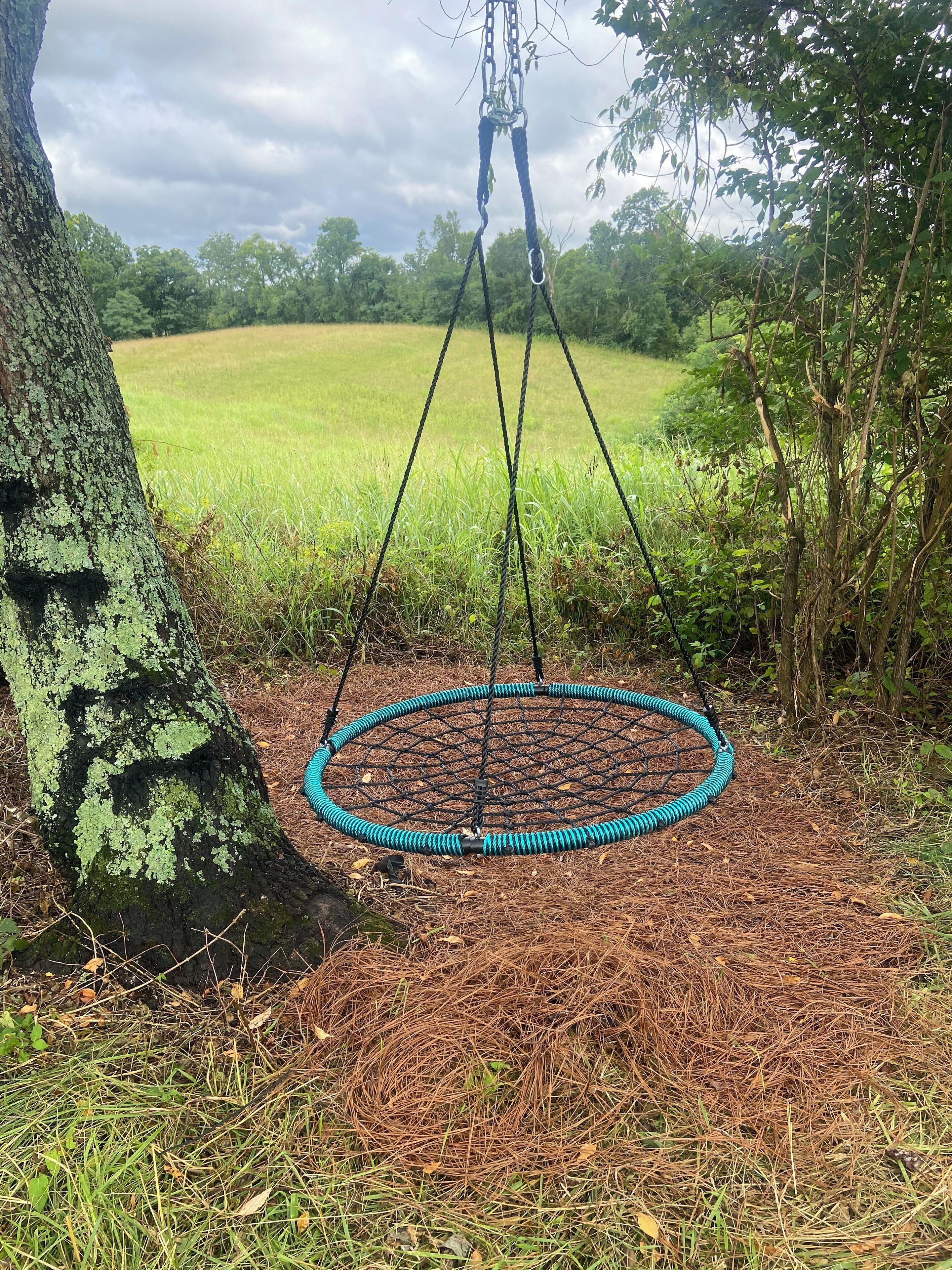 Een hangmat bungelt aan een boom in een natuurlijke omgeving.
